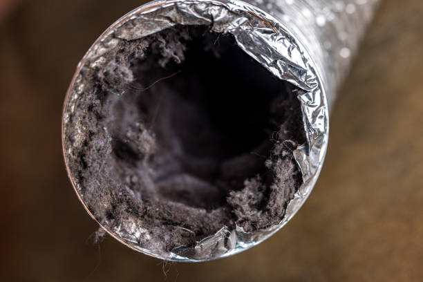 Best Best Air Duct Cleaning Company  in Kendall West, FL