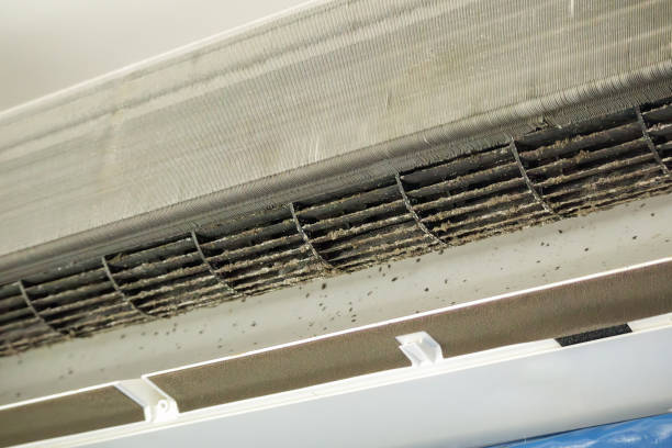 Home Air Vent Cleaning in Kendall West, FL